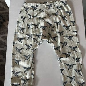 Kate Quinn panda pant